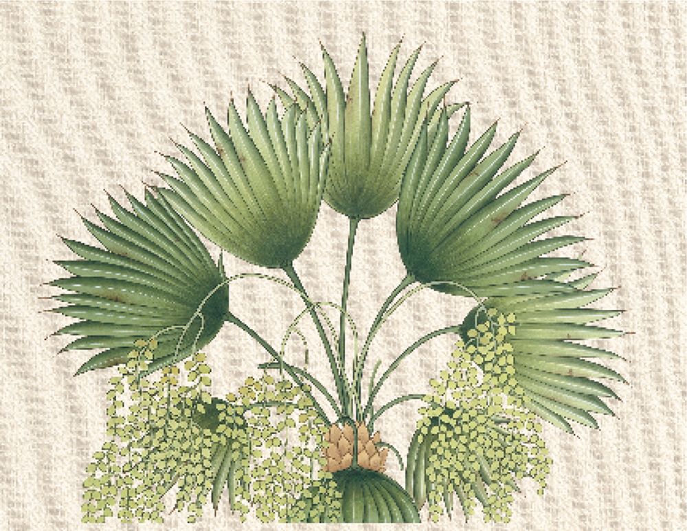 Folhas de Palmeira II — Unknown