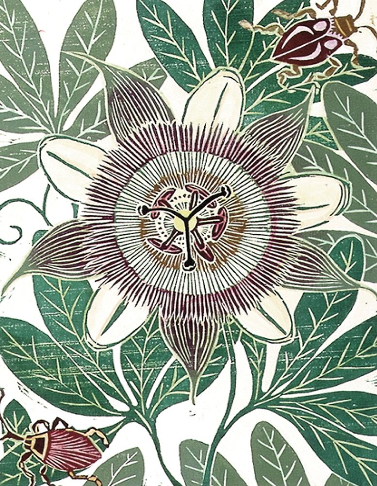 Papoula II — Unknown