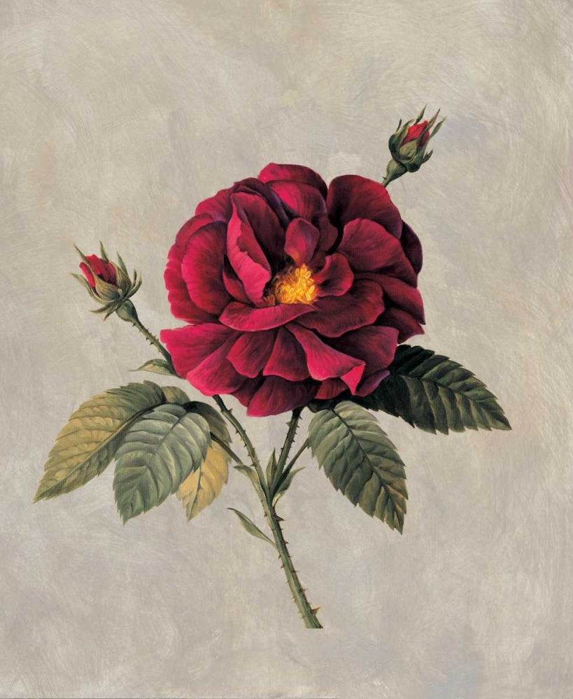 Atemporal II — Lopez, E.