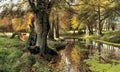 Um Riacho na Mata — Monsted, Peder