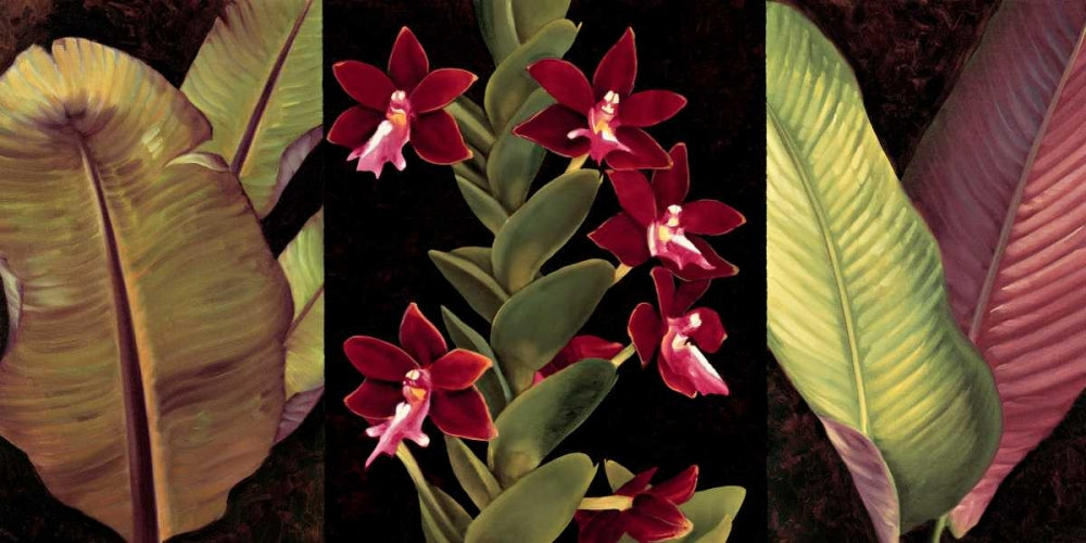 Orquídeas Vermelhas e Folhas de Palmeira — Jimenez, Rodolfo