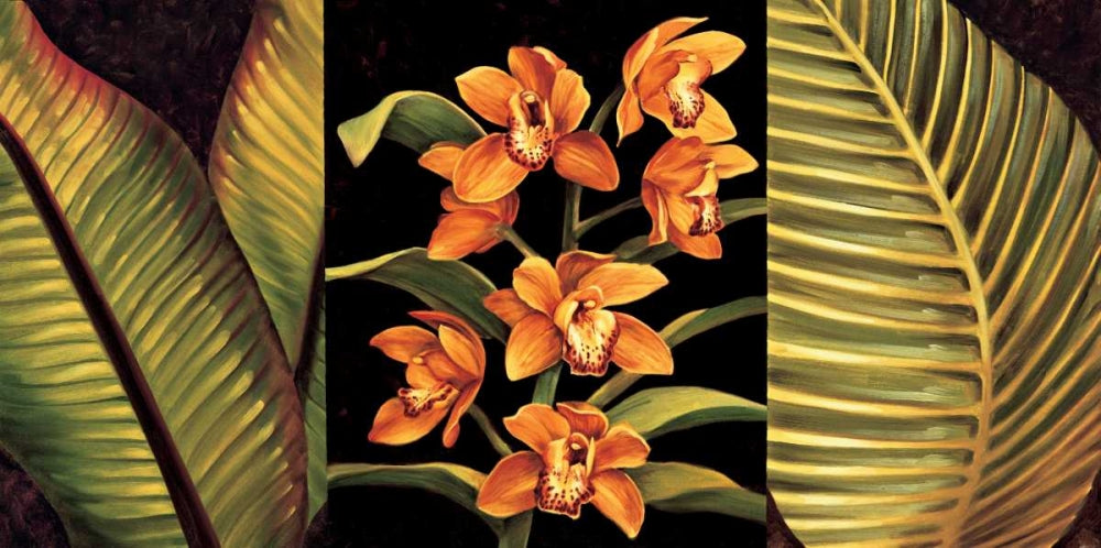 Orquídeas Laranja e Folhas de Palmeira — Jimenez, Rodolfo