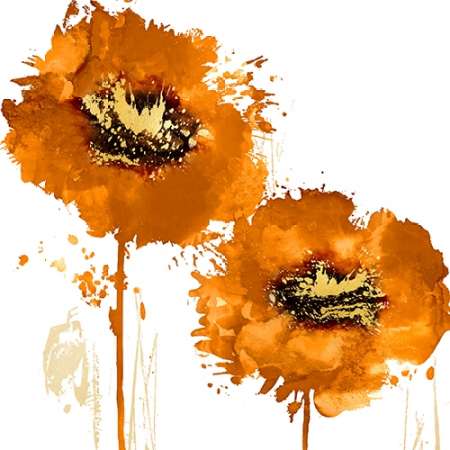 Explosão Floral em Tangerina II — Austin, Vanessa