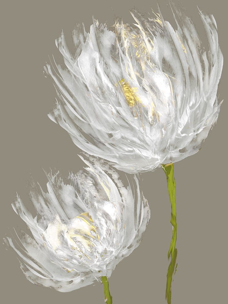 Tulipas Brancas II — Austin, Vanessa