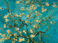 Mandorlo in fiore IV — Van Gogh, Vincent