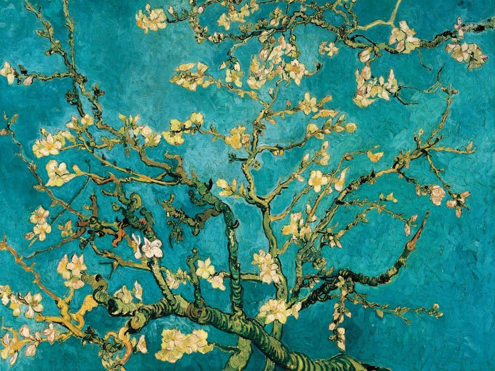 Mandorlo in fiore IV — Van Gogh, Vincent