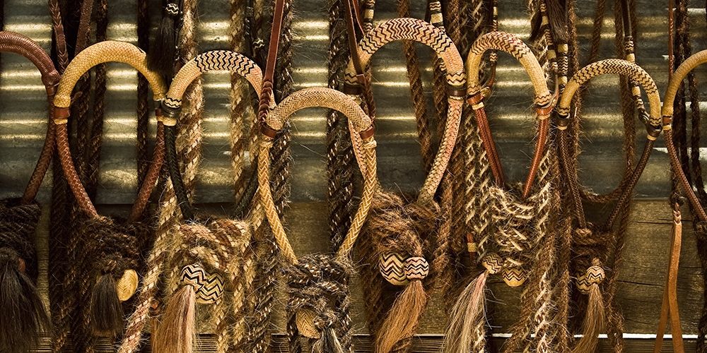 Bridões Refinados — Dawson, Robert