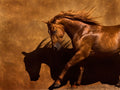 Bailarino de Adobe — Dawson, Robert