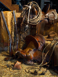 Selaria do Rancho — Dawson, Robert
