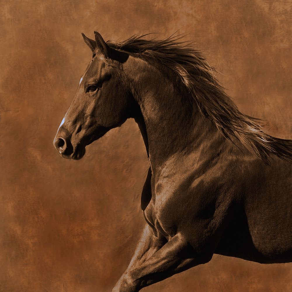 Galope a Oeste — Dawson, Robert