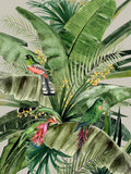 Paraíso — Urban Road