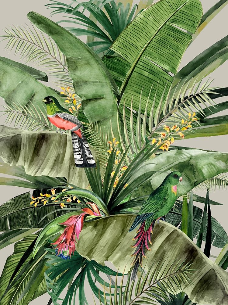 Paraíso — Urban Road