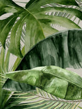 Véu da Natureza — Urban Road