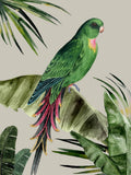 Pluma 1 — Urban Road