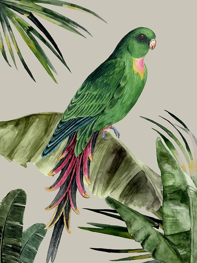 Pluma 1 — Urban Road