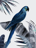 Pluma ao Crepúsculo — Urban Road