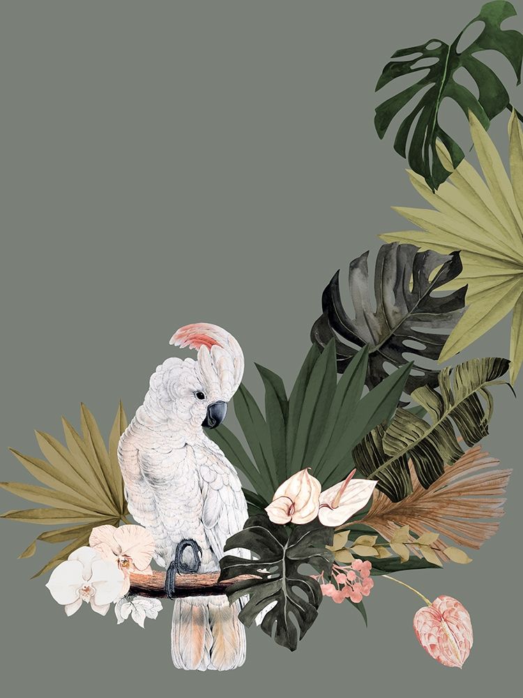 Fanfarra de Cacatuas — cartaz — Urban Road