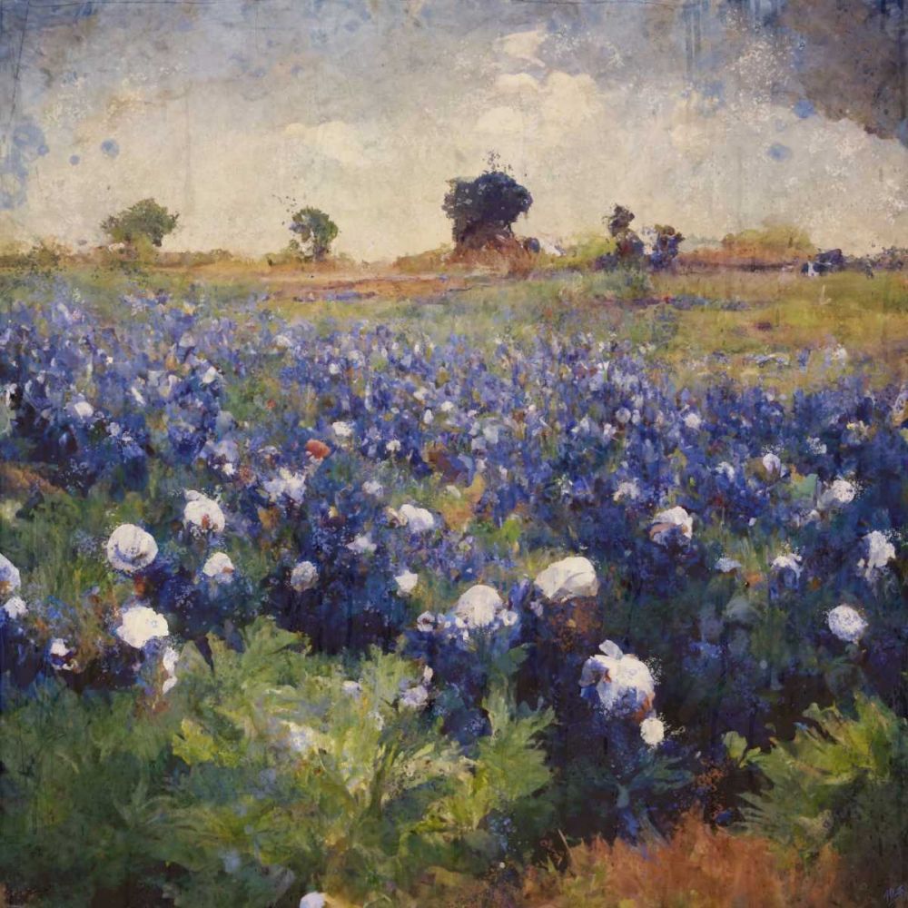 Tremoços-do-Texas I — Wiley, Marta