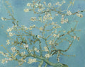 Almond blossom — van Gogh, Vincent
