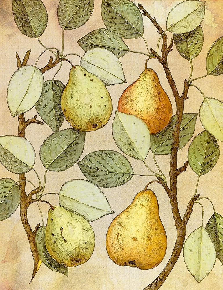 Botanical Grunge II — Hunziker, Steve