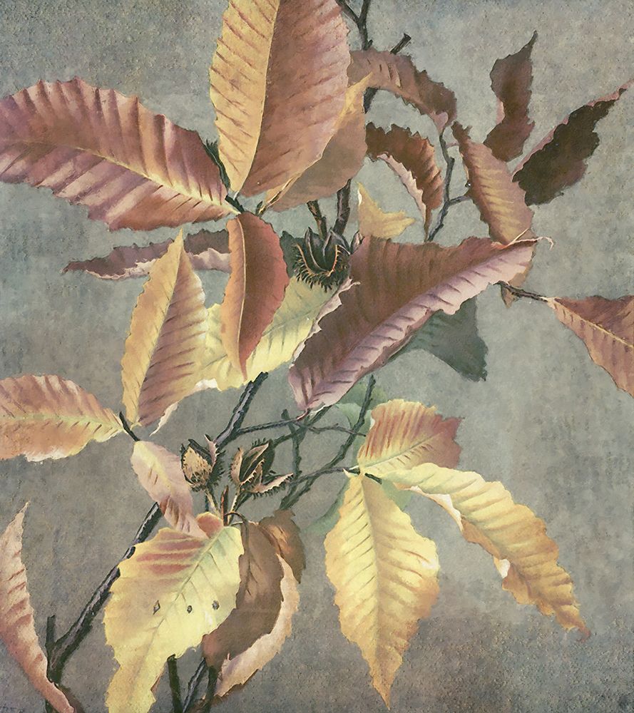 Ancient Autumn I — Hunziker, Steve