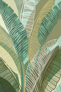 Tropical Botanical II — Kouta, Flora
