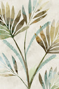 Leaf Shadows — Kouta, Flora