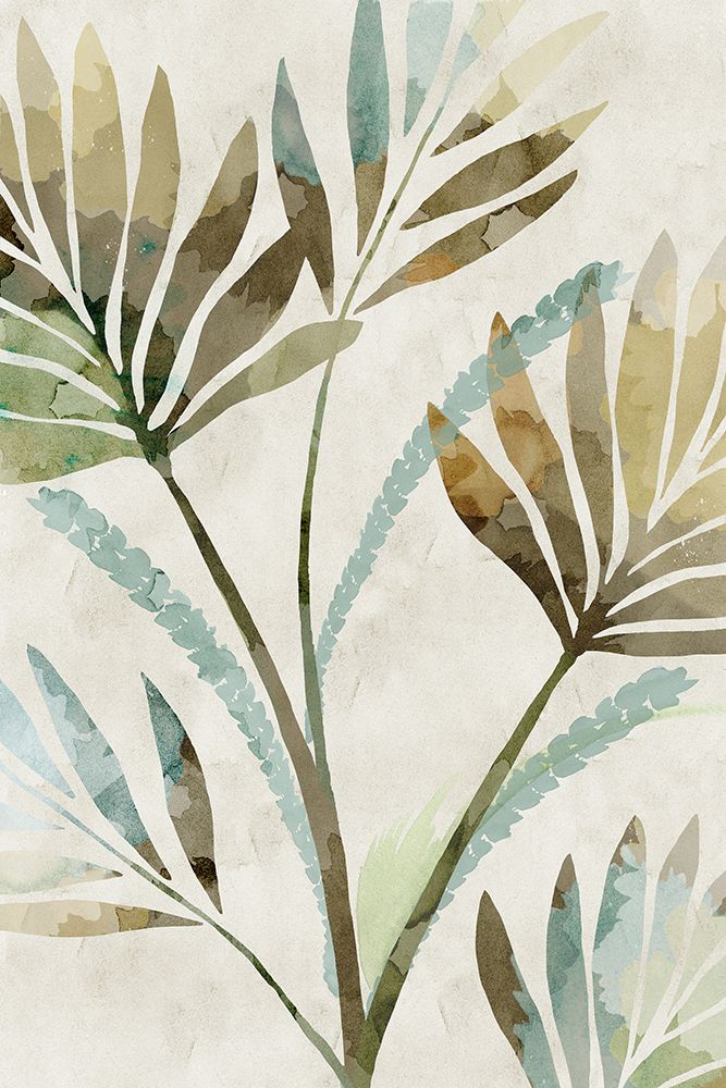 Leaf Shadows — Kouta, Flora