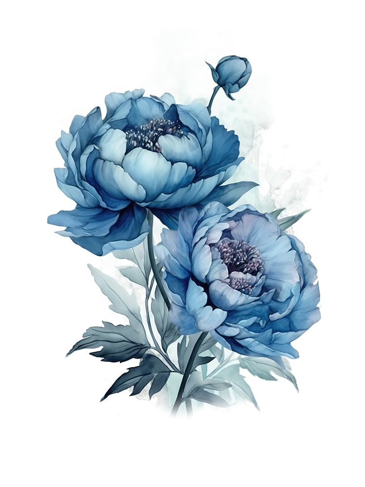 Blue Peonies Nostalgia II — Haase, Andrea