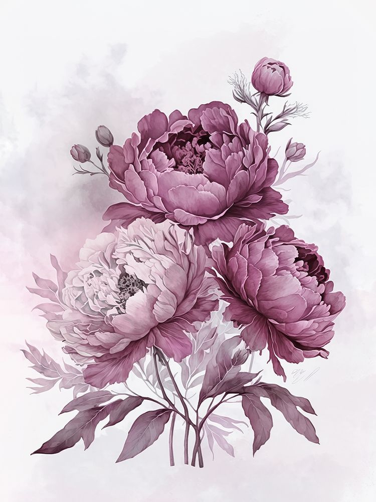 Blush Pink Peonies Nostalgia II — Haase, Andrea